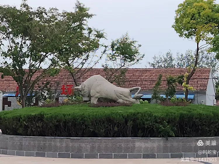 清新水韵宝应湖--庆祝第七个中国农民丰收节暨宝应湖农场七十华诞庆典